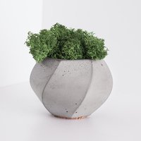 Immagine di Pianta 1