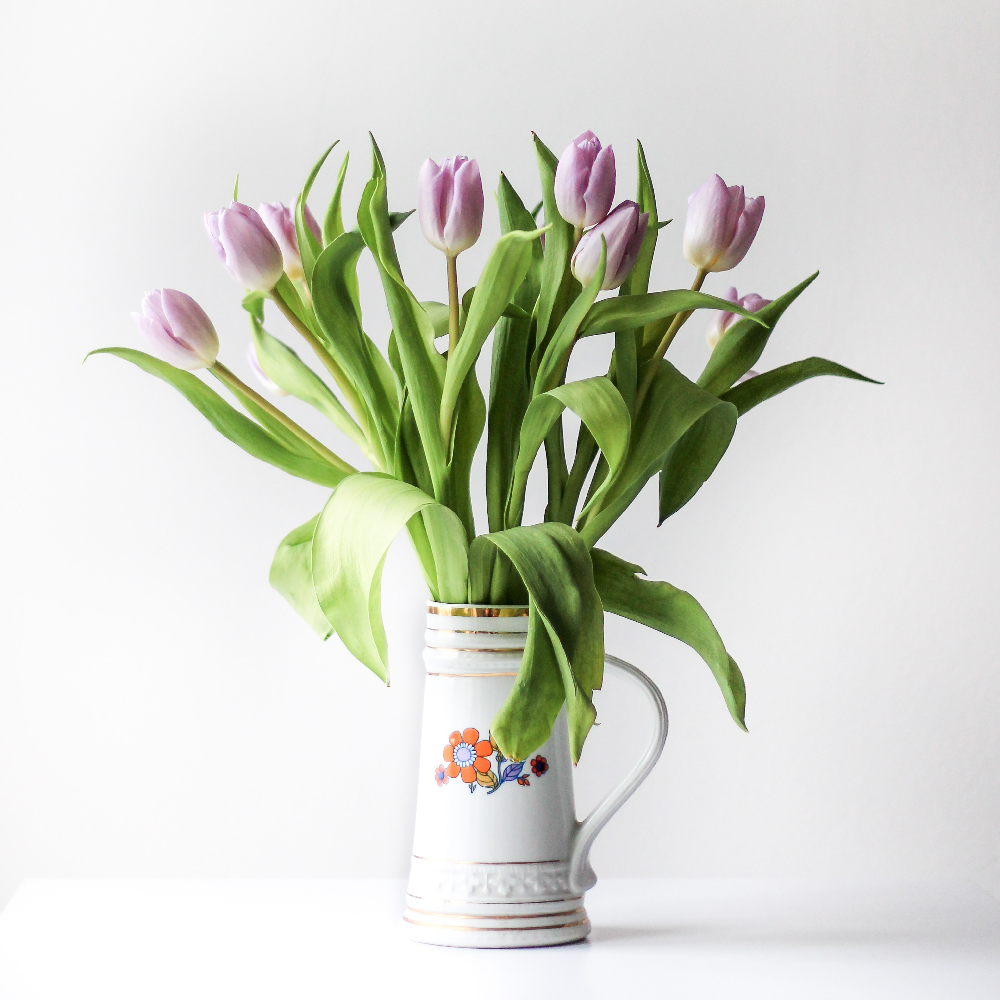 immagine di Pianta 2