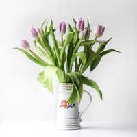 Immagine di Pianta 2